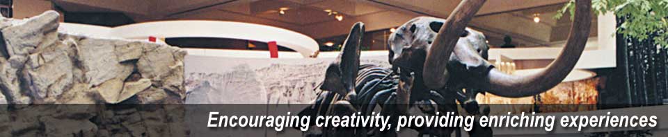 MIDLAND ARTS & FESTIVALS